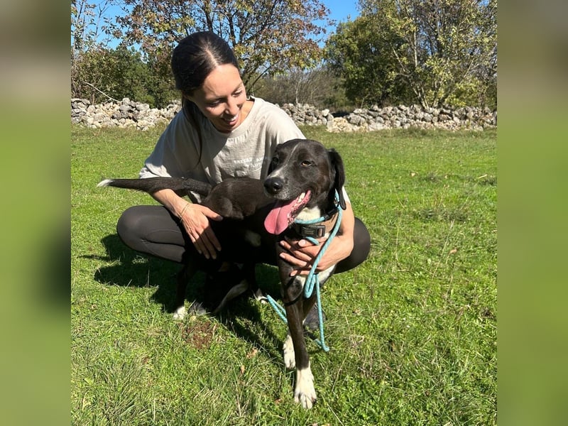 Bobi sucht sein Für-Immer-Zuhause ❤️