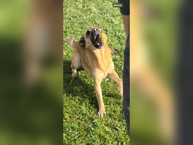 Luna wartet auf ihr Glück❤️