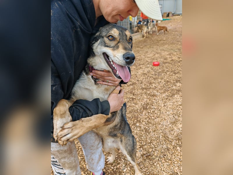 ARTHUR sucht seine Für-Immer-Familie❤️