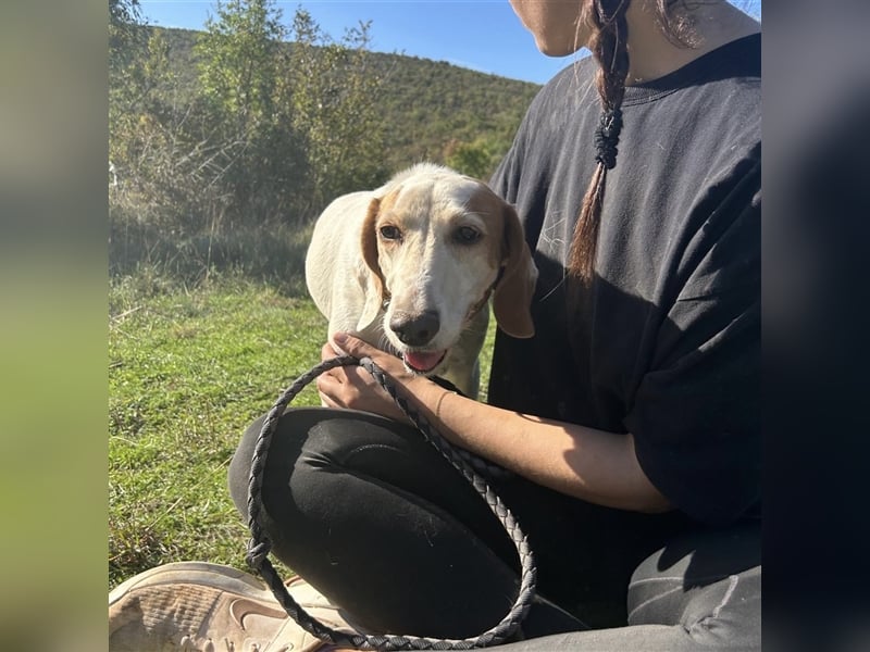 Irma sucht ein Zuhause ❤️