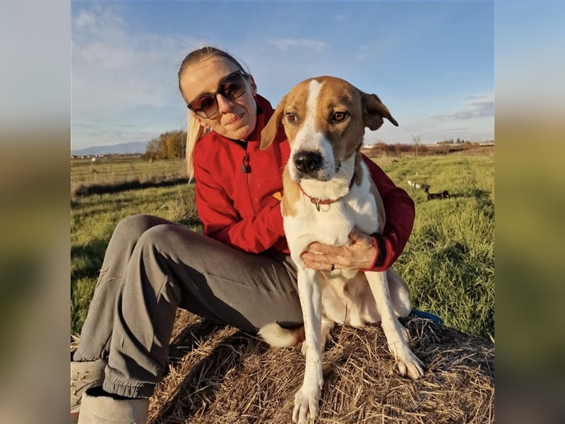 Schmusebacke Charlie❤️ sucht sein Zuhause