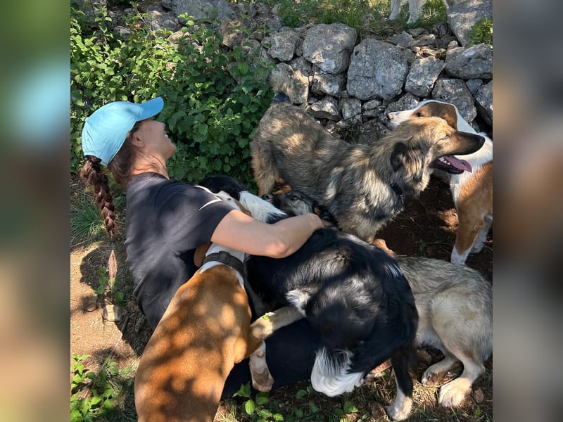 Zarte Seele Sanja sucht Für-Immer-Zuhause❤️