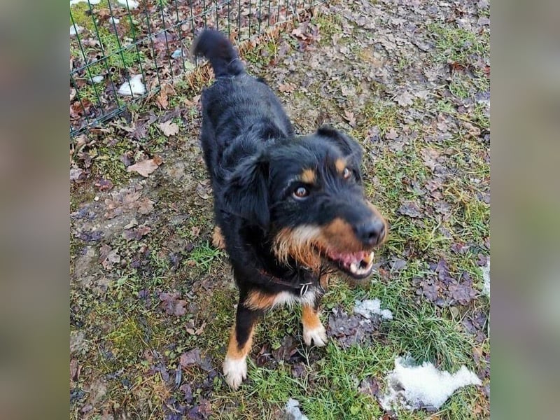 CARLO sucht sein perfect match ❤️