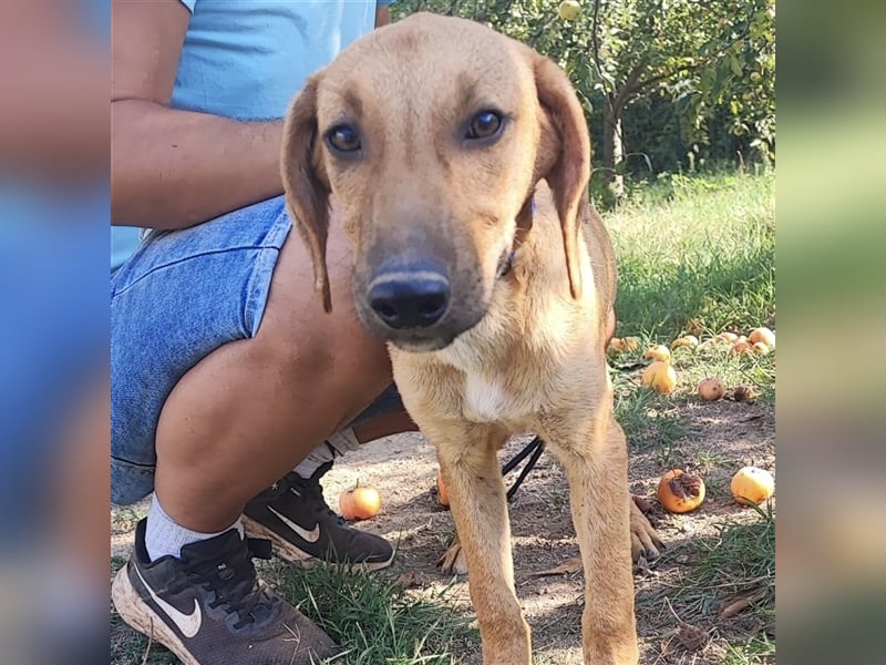 Zarte Lina sucht ihre Herzmenschen❤️