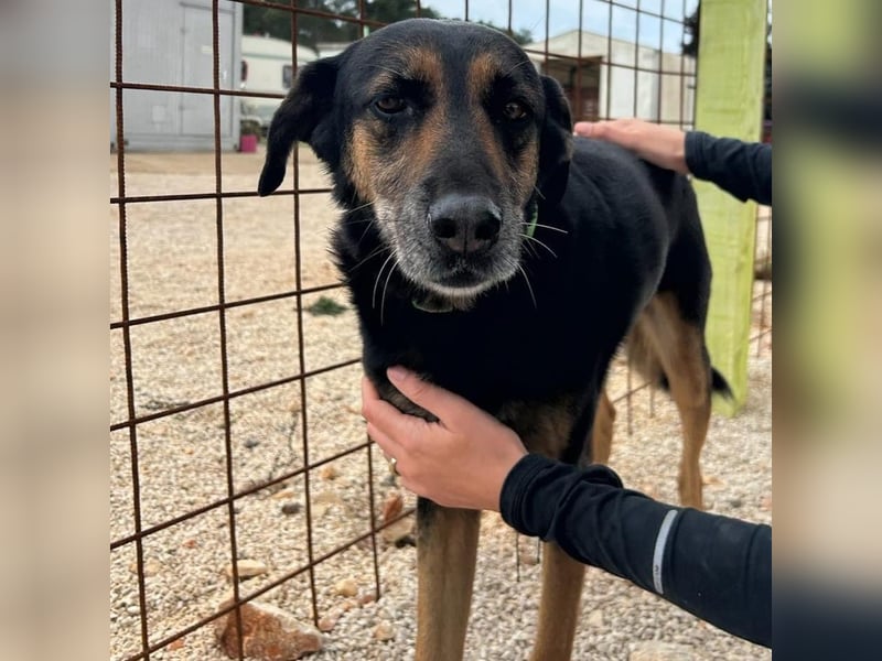 Naomi & Lero suchen ihr Für-immer-Zuhause ❤️