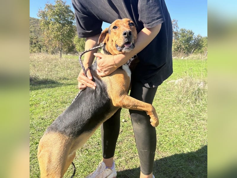 Kendra sucht ihre Familie ❤️