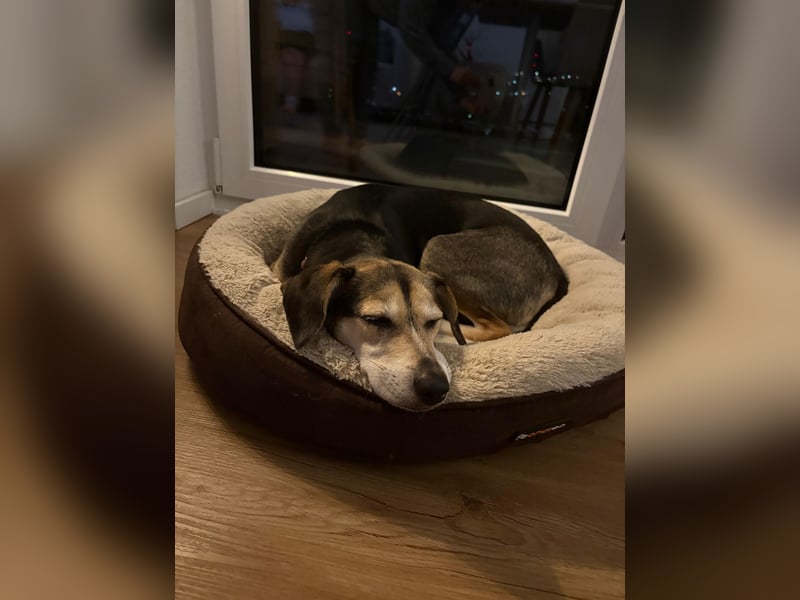 Menschenbezogene RONJA sucht perfect match ❤️