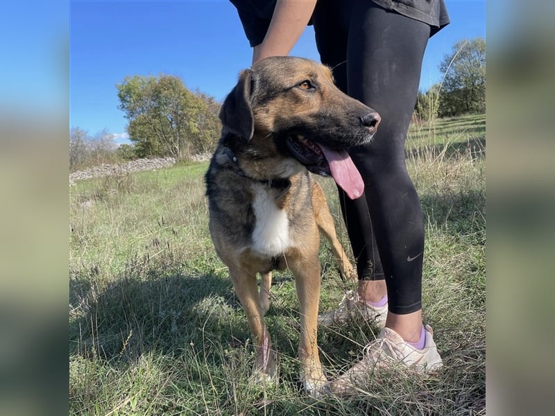 Corny sucht sein Für-Immer-Zuhause ❤️