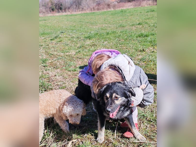 Mirta sucht ihr forever Home❤️