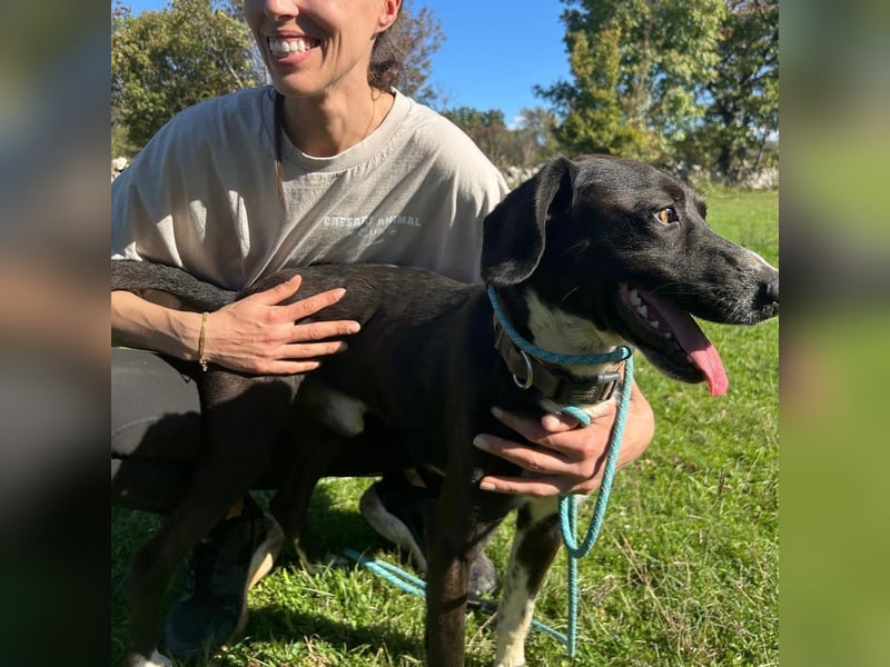 Bobi sucht sein Für-Immer-Zuhause ❤️