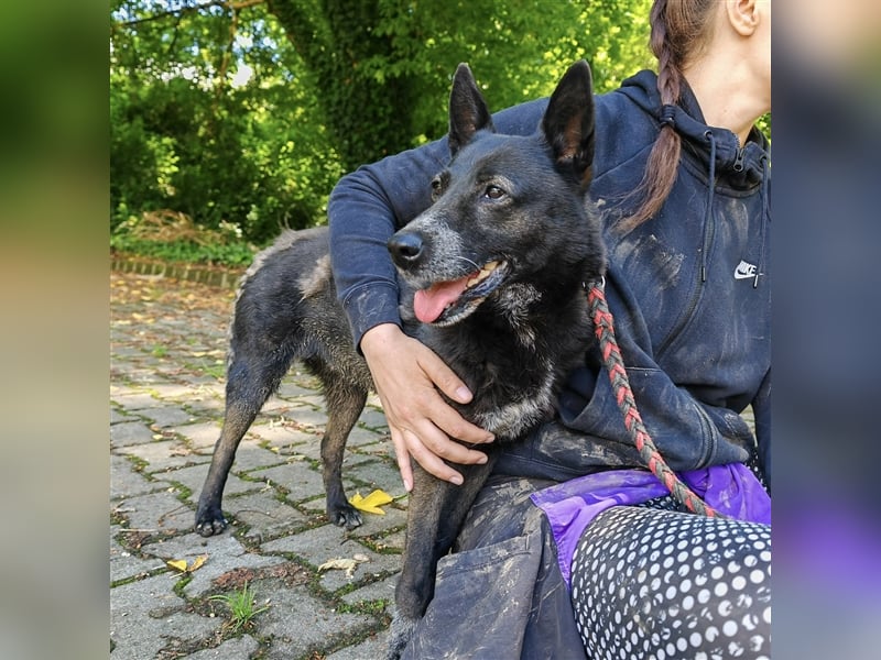 Pici sucht dringend ein Zuhause ❤️