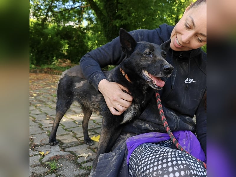 Pici sucht dringend ein Zuhause ❤️