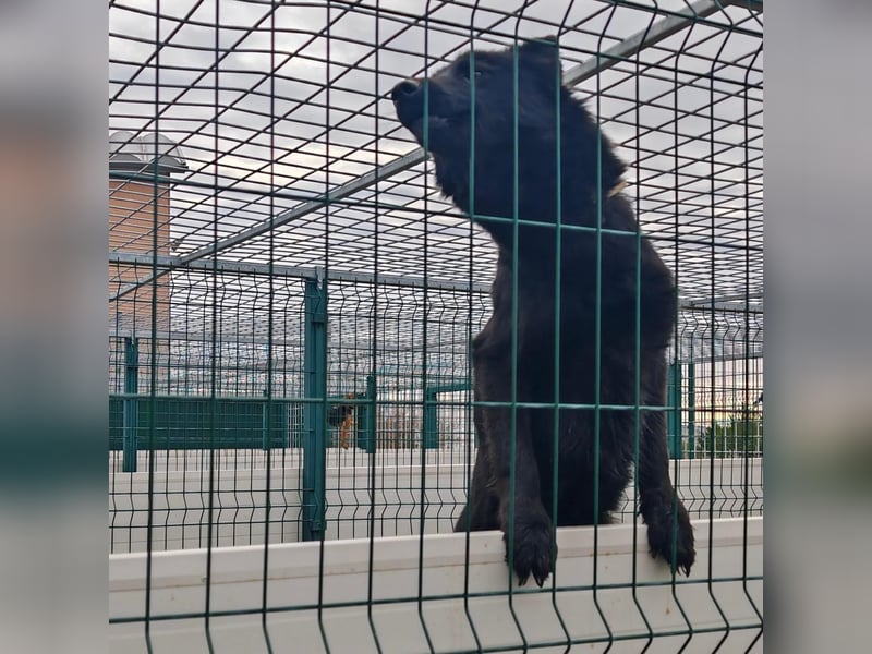 Liebe Mirka sucht ihre Familie ❤️