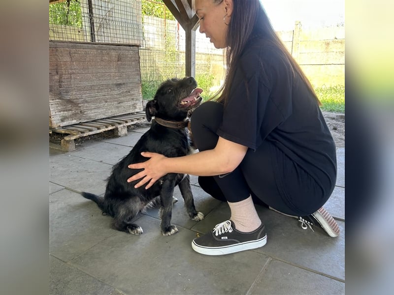 Ponsi sucht sein forever Home ❤️