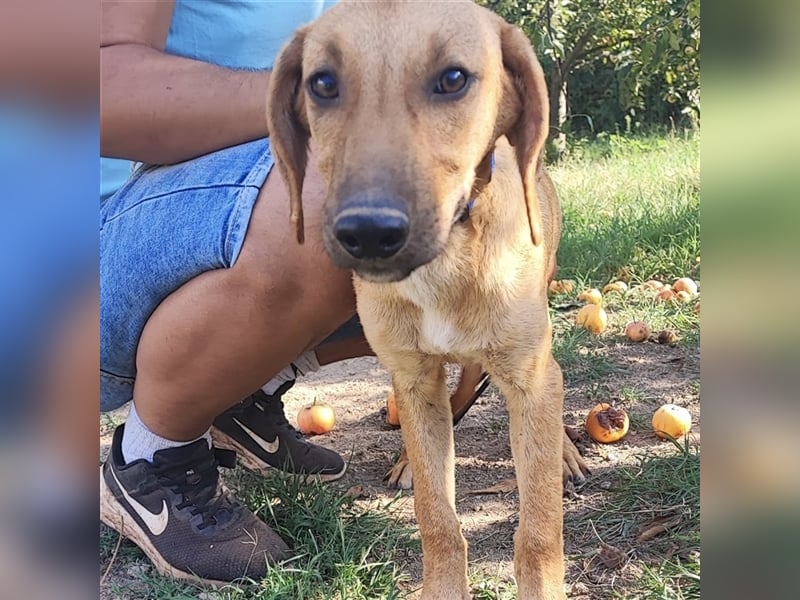 Zarte Lina sucht ihre Herzmenschen❤️