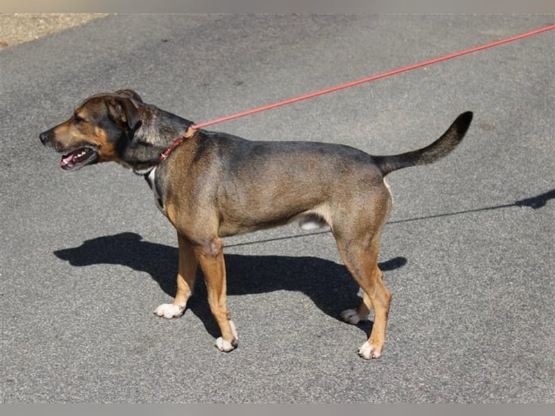 Voni sucht sein forever home ❤️