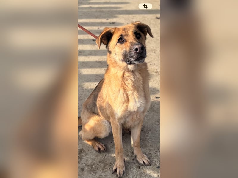 Luna wartet auf ihr Glück❤️