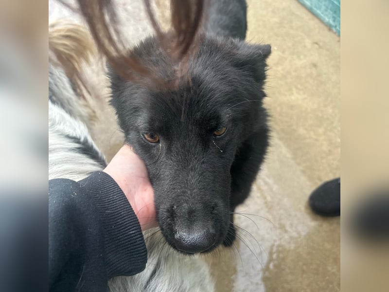 Liebe Mirka sucht ihre Familie ❤️