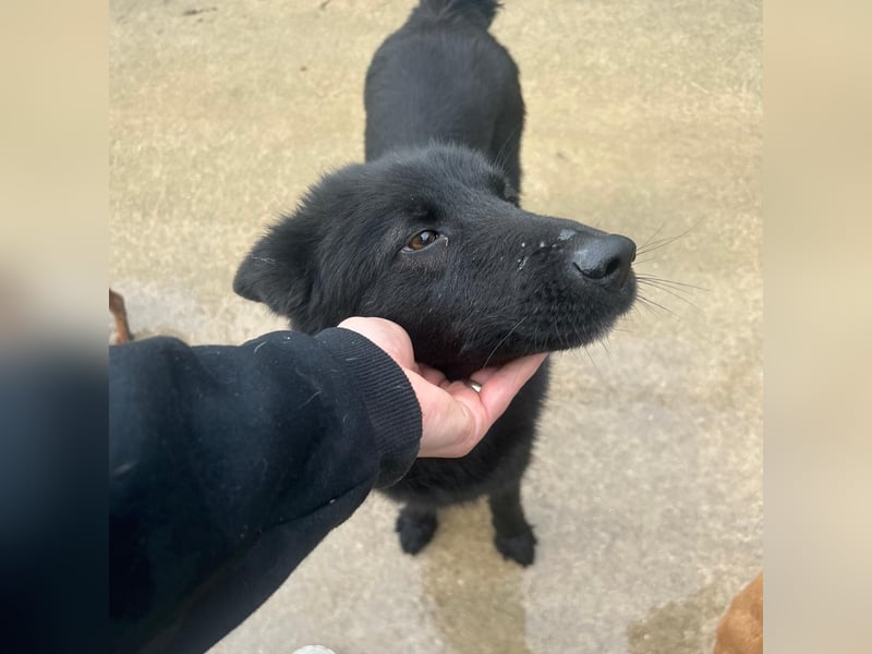 Liebe Mirka sucht ihre Familie ❤️