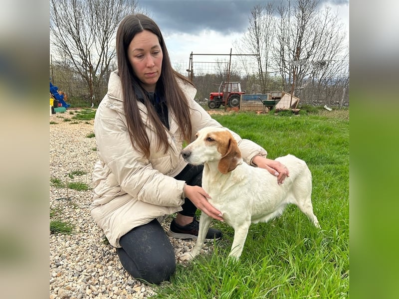 Irma sucht ein Zuhause ❤️