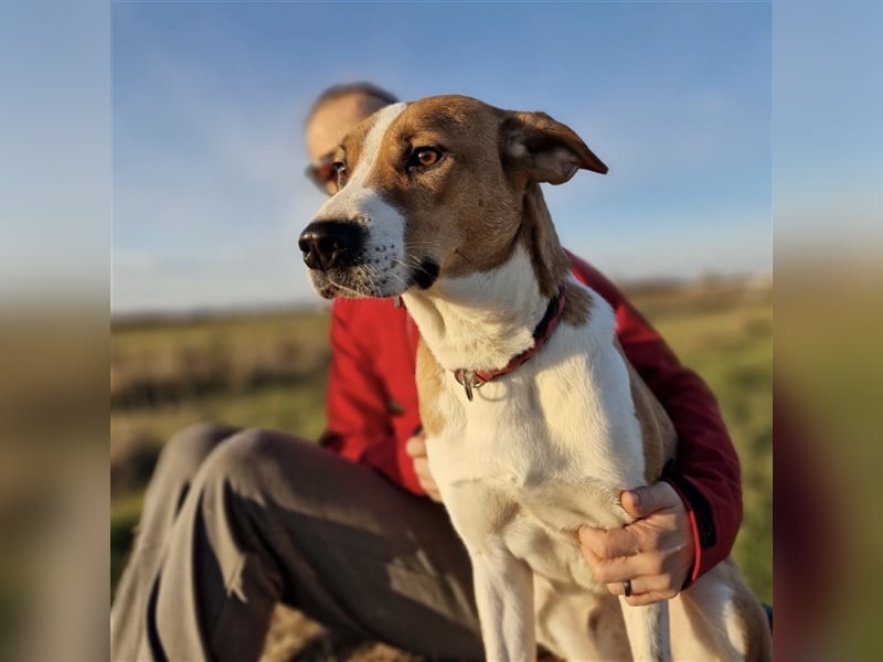 Schmusebacke Charlie❤️ sucht sein Zuhause