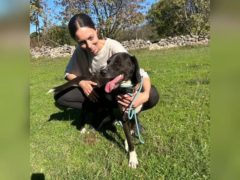 Bobi sucht sein Für-Immer-Zuhause ❤️