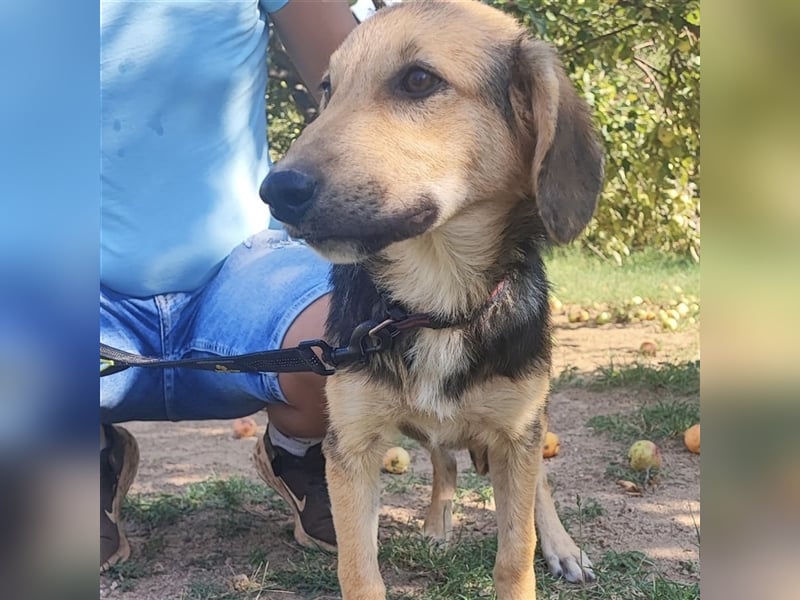 Lilly wartet auf ihre Für-Immer-Familie❤️