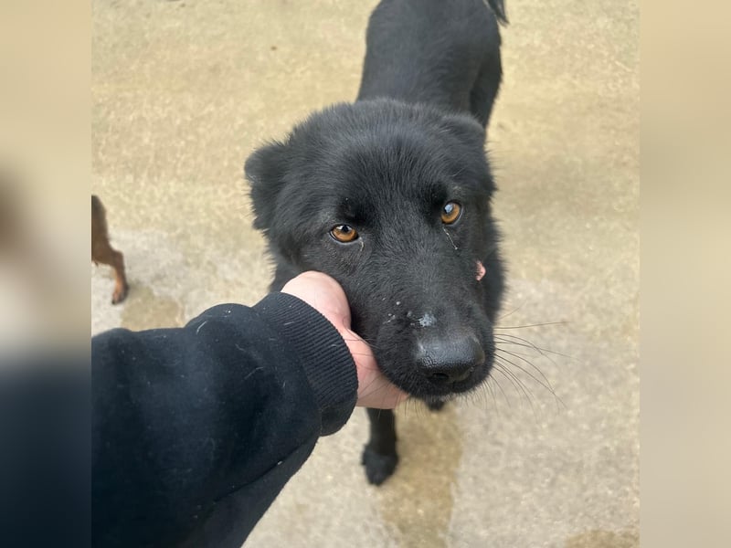 Liebe Mirka sucht ihre Familie ❤️