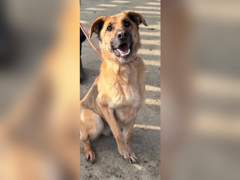 Luna wartet auf ihr Glück❤️