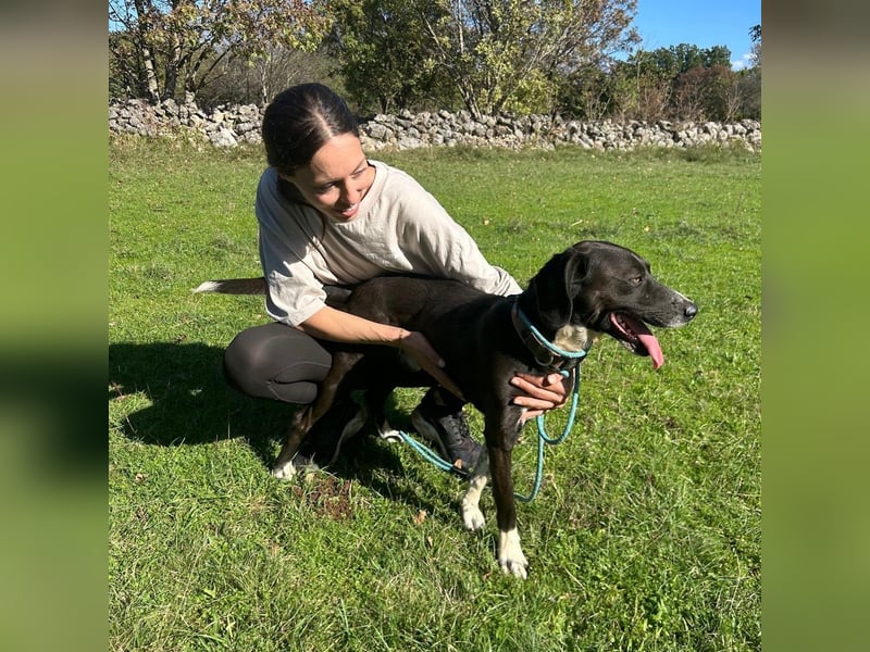 Bobi sucht sein Für-Immer-Zuhause ❤️