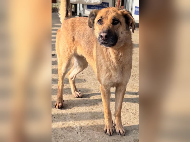 Luna wartet auf ihr Glück❤️