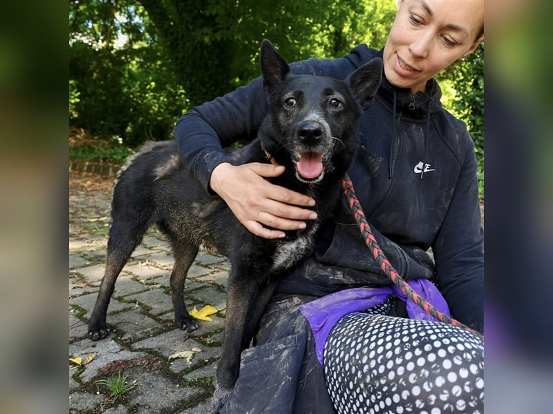 Pici sucht dringend ein Zuhause ❤️