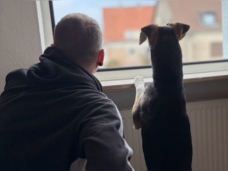 Ronja sucht ein Zuhause oder eine PS