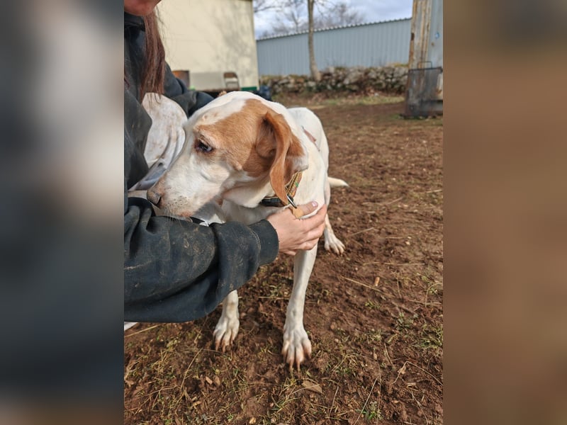 Zarte IRMA sucht Zuhause oder PS ❤️