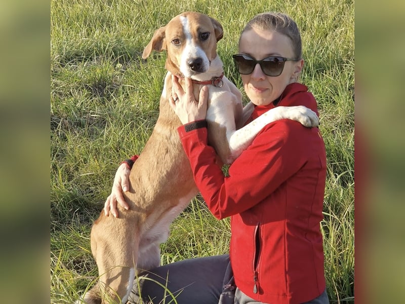 Schmusebacke Charlie❤️ sucht sein Zuhause