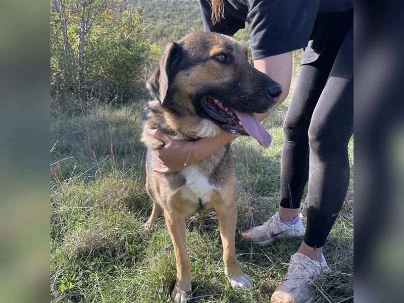 Corny sucht sein Für-Immer-Zuhause ❤️