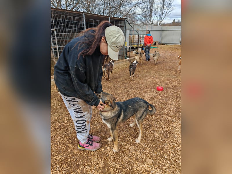ARTHUR sucht seine Für-Immer-Familie❤️