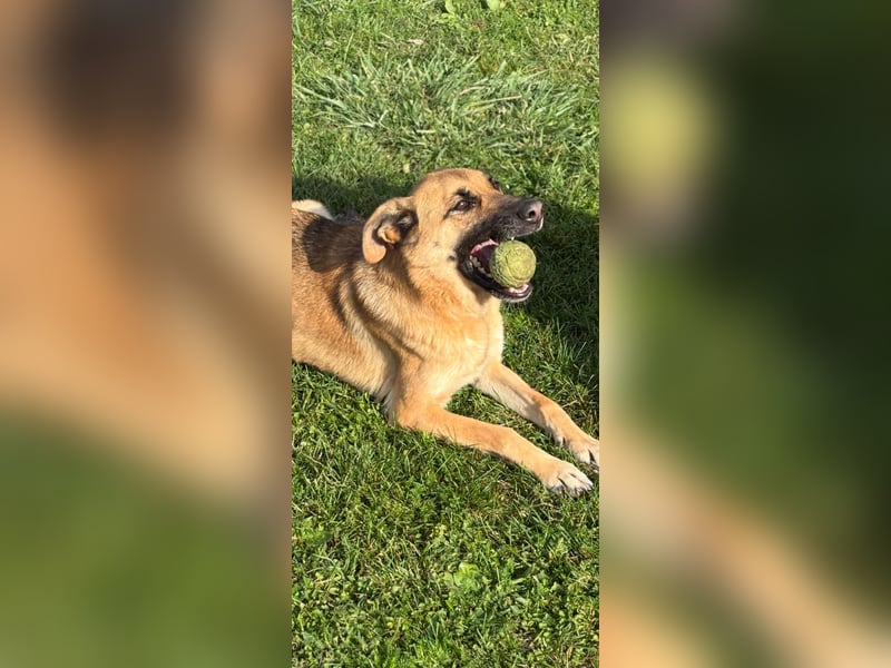 Luna wartet auf ihr Glück❤️