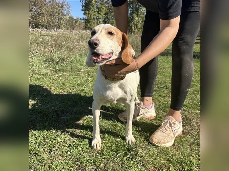 Irma sucht ein Zuhause ❤️