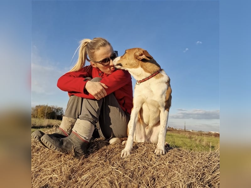 Schmusebacke Charlie❤️ sucht sein Zuhause