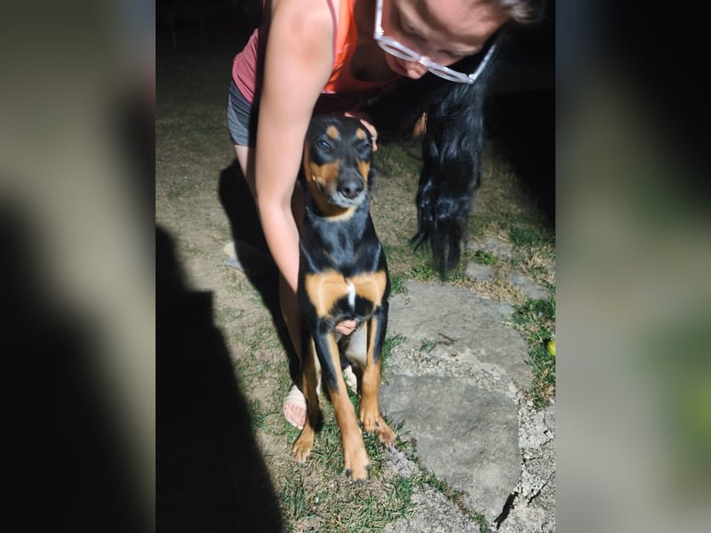 MOLI wartet auf ihrer Familie❤️