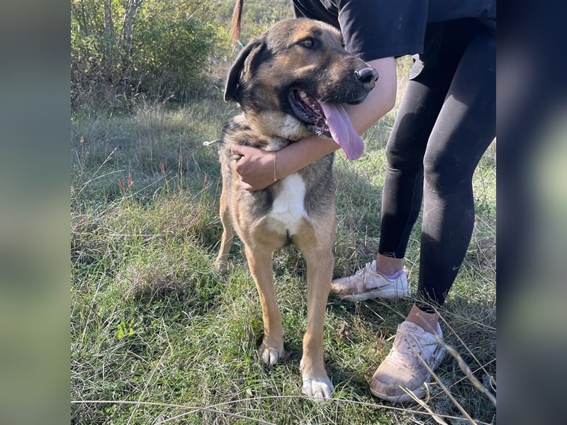 Corny sucht sein Für-Immer-Zuhause ❤️