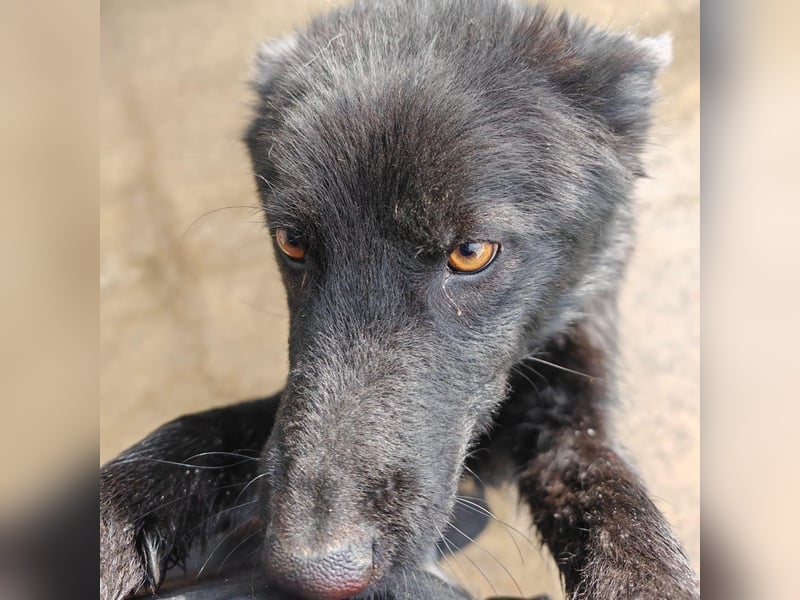 Liebe Mirka sucht ihre Familie ❤️
