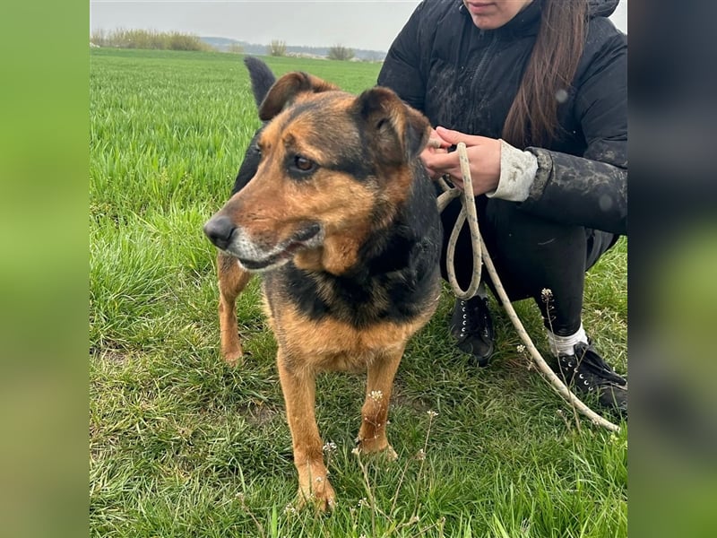 Happy End gesucht für Snickers ❤️