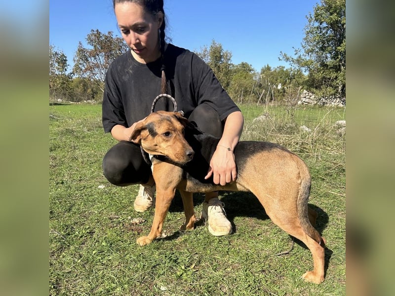 Kendra sucht ihre Familie ❤️