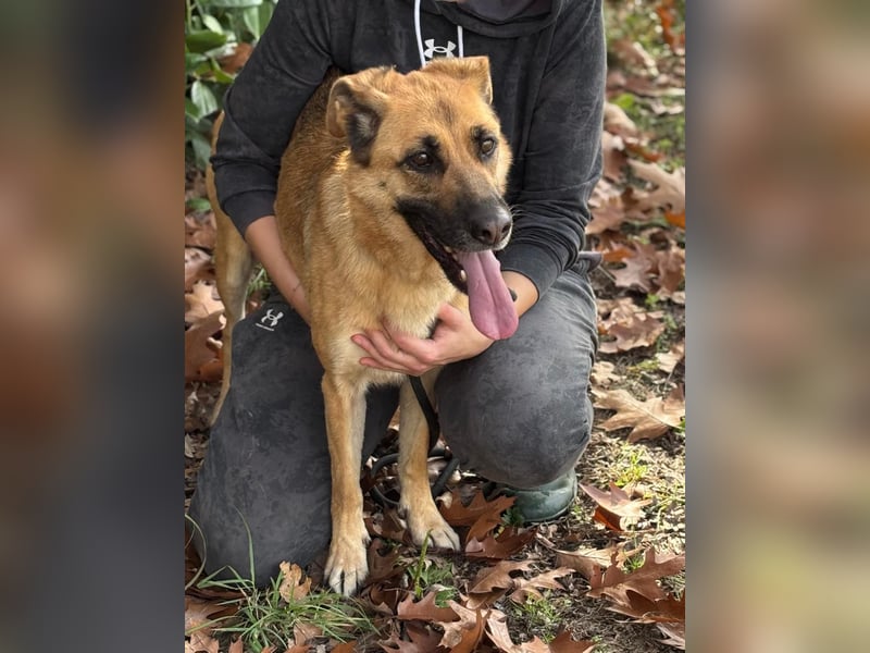 Luna wartet auf ihr Glück❤️