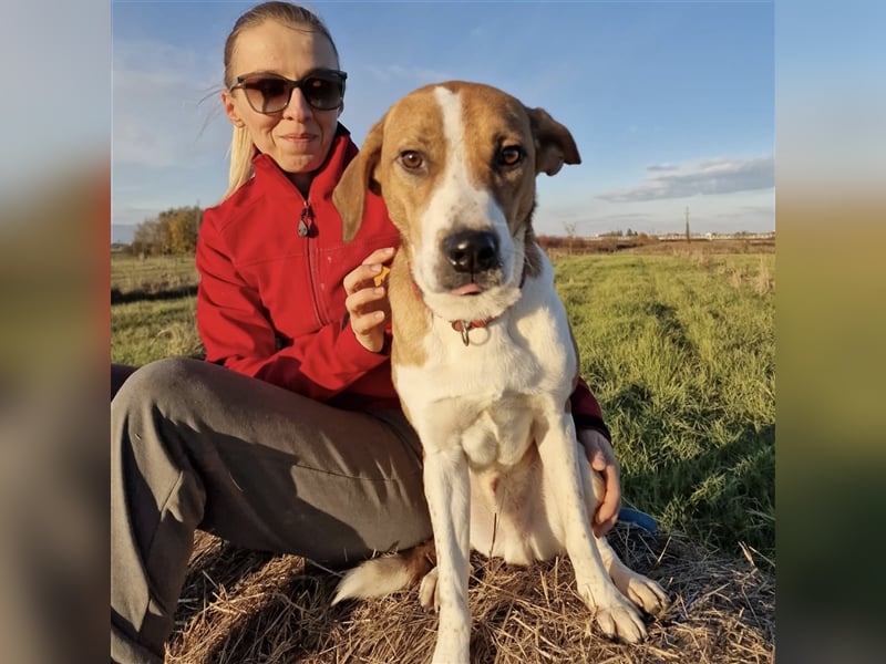 Schmusebacke Charlie❤️ sucht sein Zuhause