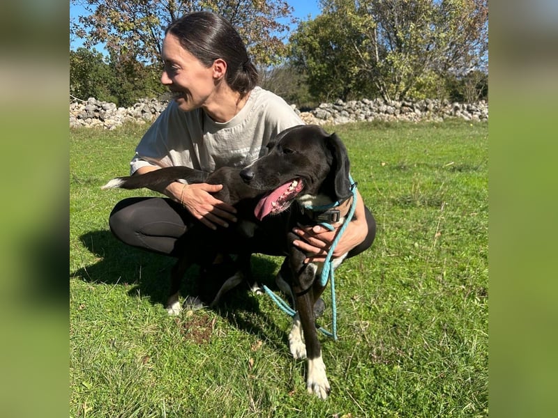 Bobi sucht sein Für-Immer-Zuhause ❤️