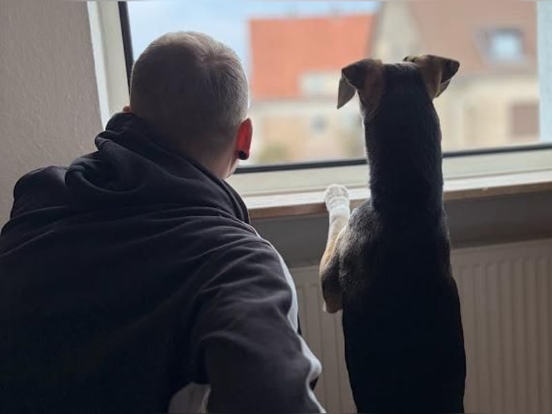 Ronja sucht ihr forever Home❤️