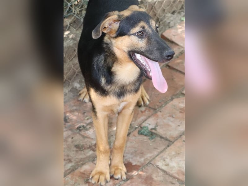 Unser Rudi sucht sein Glück :-)